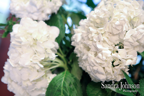 Best Ocean Breeze at Mayport wedding photographer - Sandra Johnson (SJFoto.com)